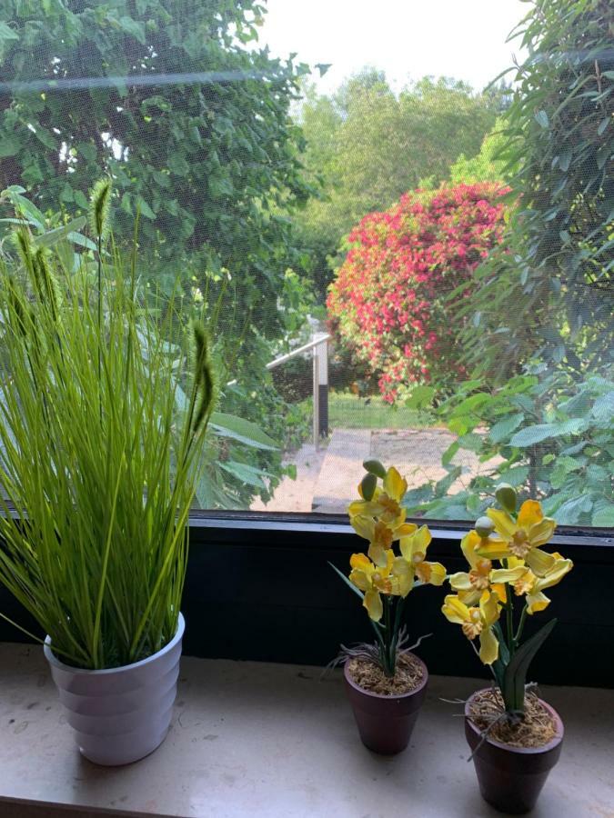Ferienwohnung Land-Idylle Illingen  Екстер'єр фото
